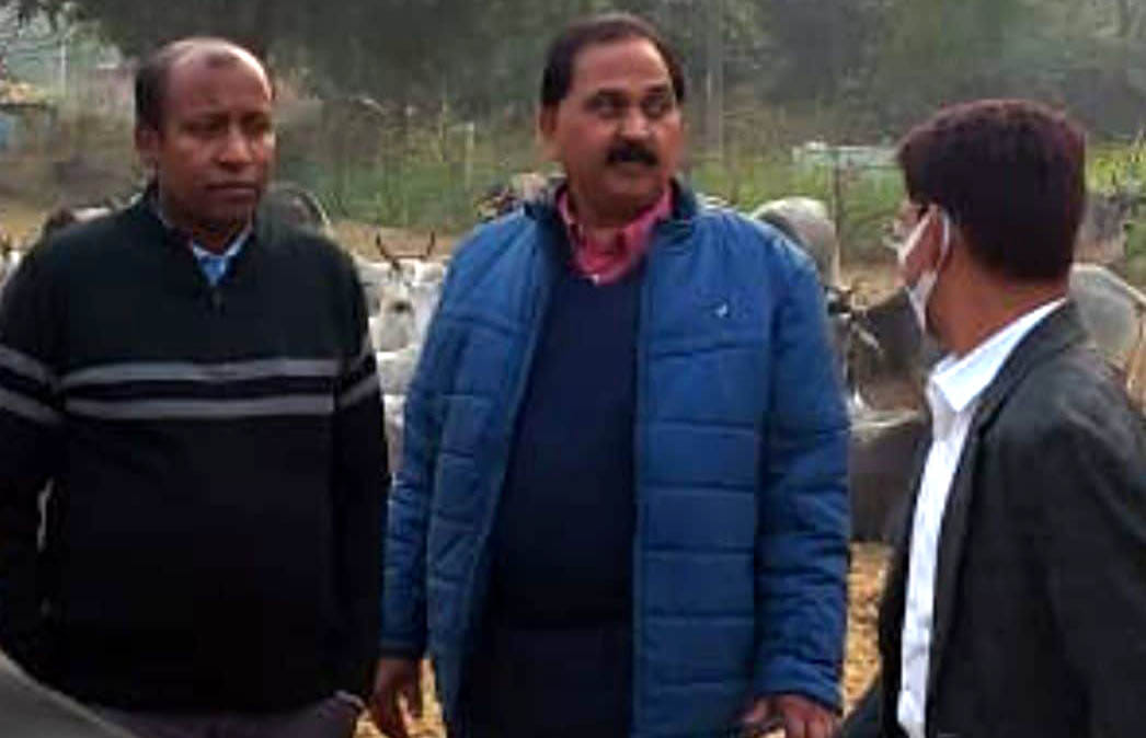 Opposition to government arrangements in private land's cowshed