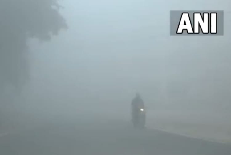 Thick fog engulfs Bathinda as mercury level drops in Punjab 