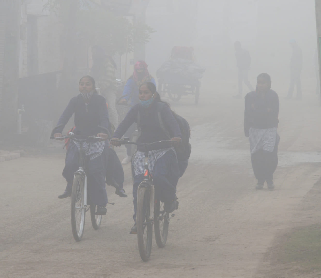 Outbreak of cold increased due to cold wave, fog started pouring in