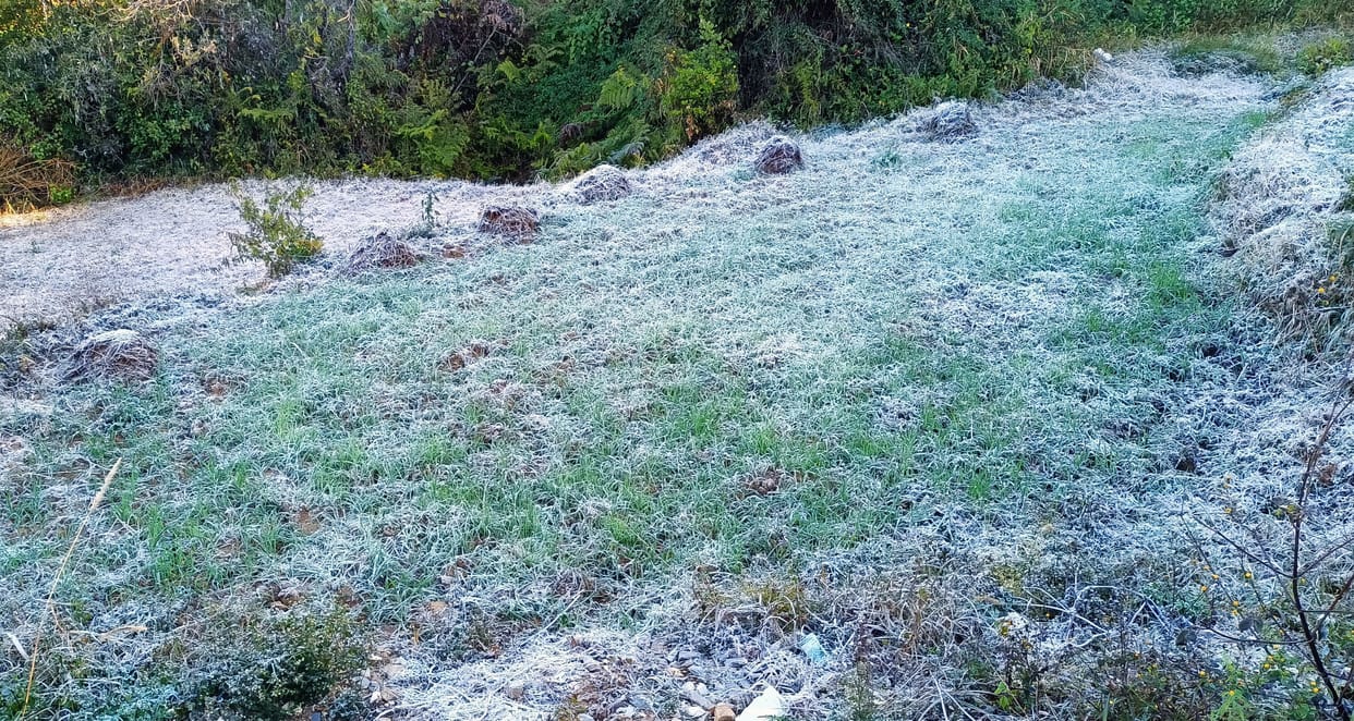 people shivering from snow and frost