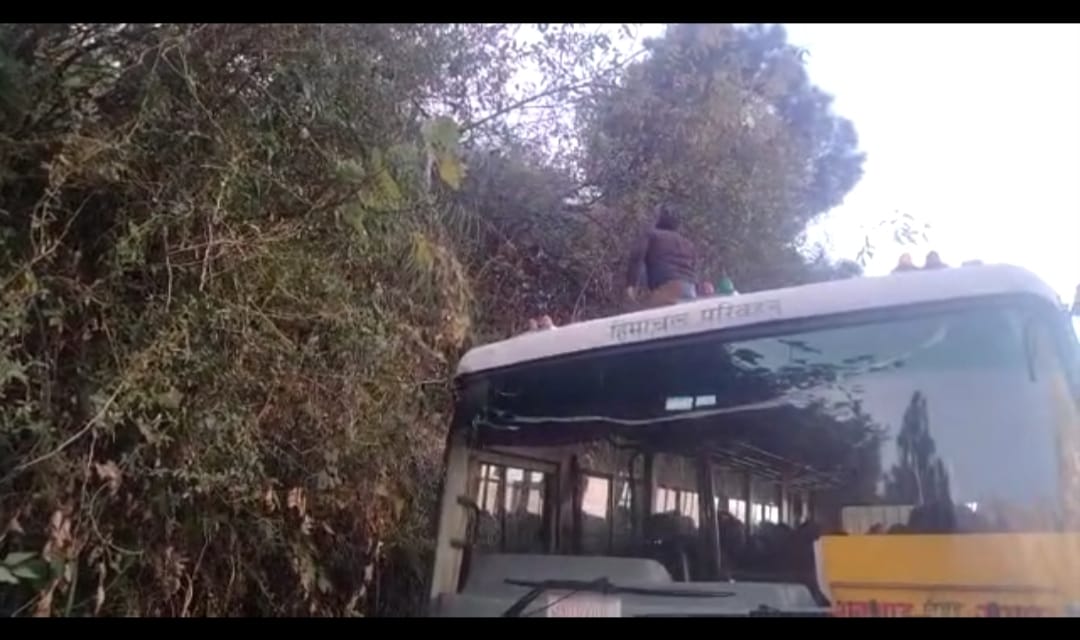 Corporation's driver, operator cut off