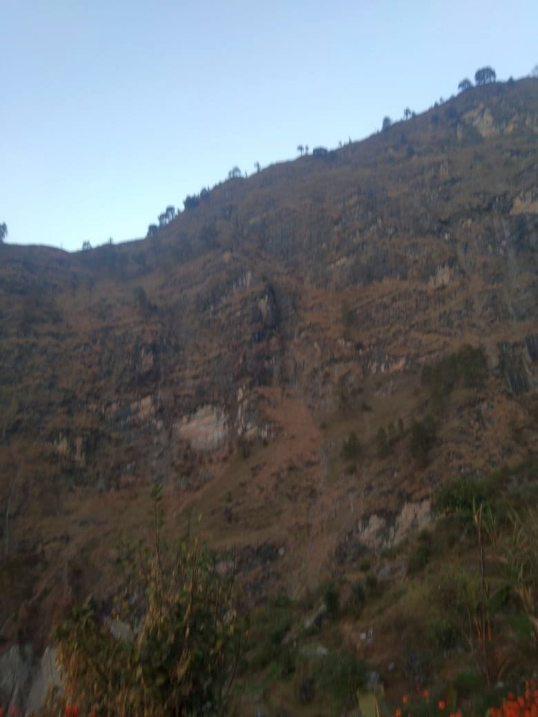 Woman who went to take fodder died after falling in a ditch