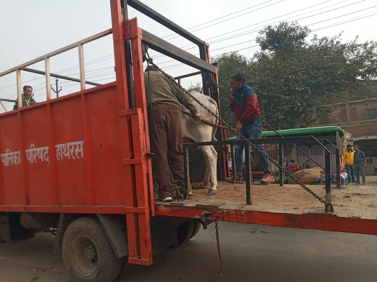 Hathras: People will get relief from stray animals roaming in the city