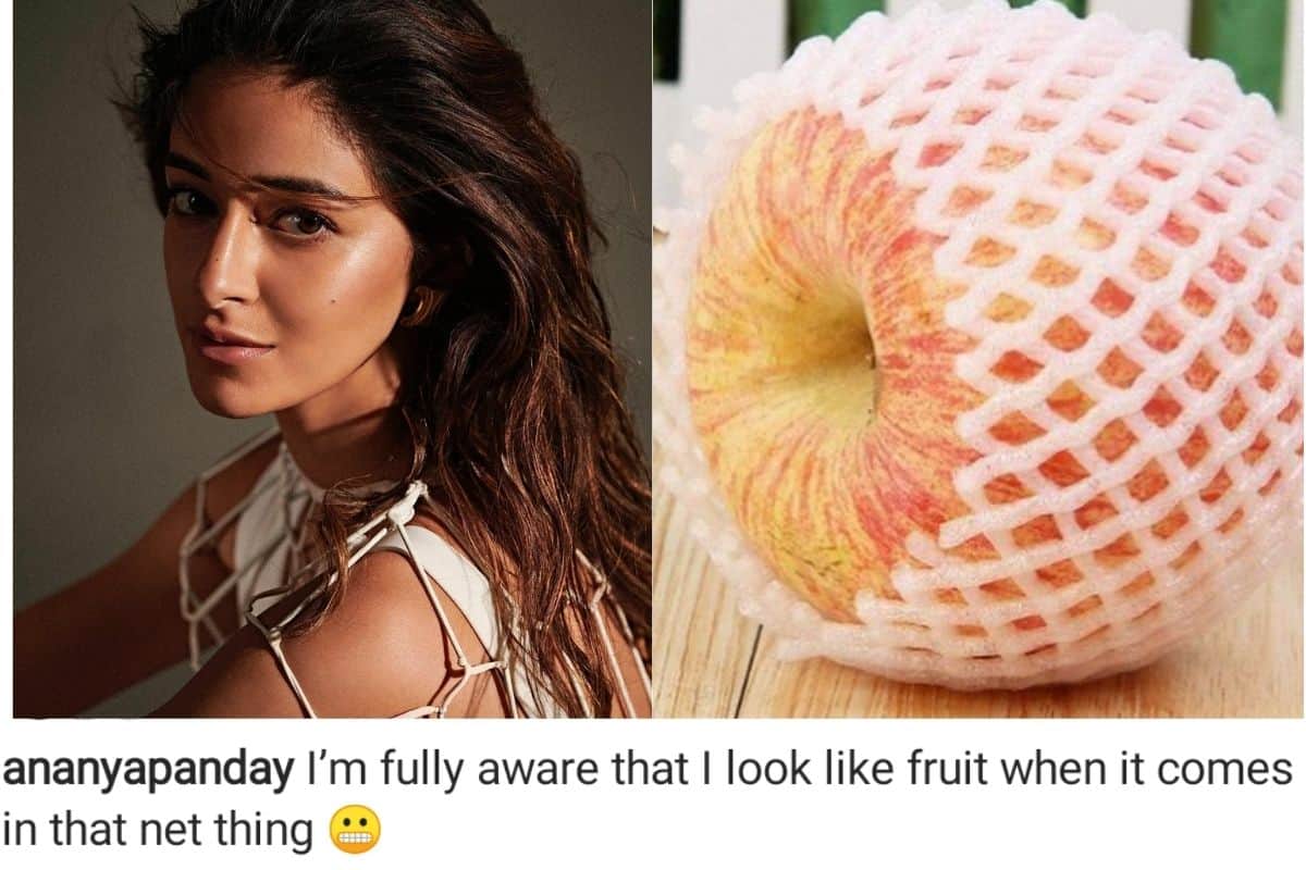 Ananya Pandey has Copied Urfi Javed bold net look trolled herself