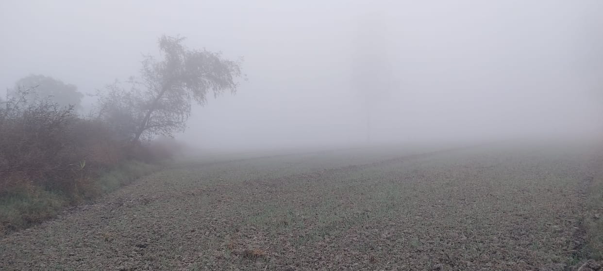 Depth haze with westerly wind, mercury reached four degrees