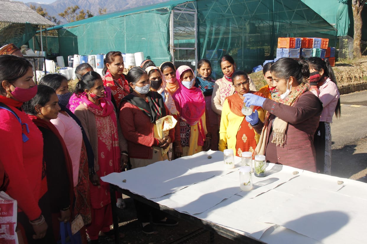 Seeing the market demand, farmers should cultivate flowers