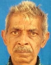 fathepur news,Farmer dies in road accident