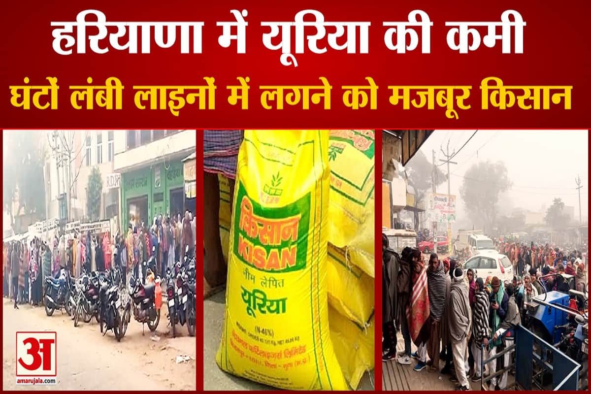 भिवानी में यूरिया की कमी