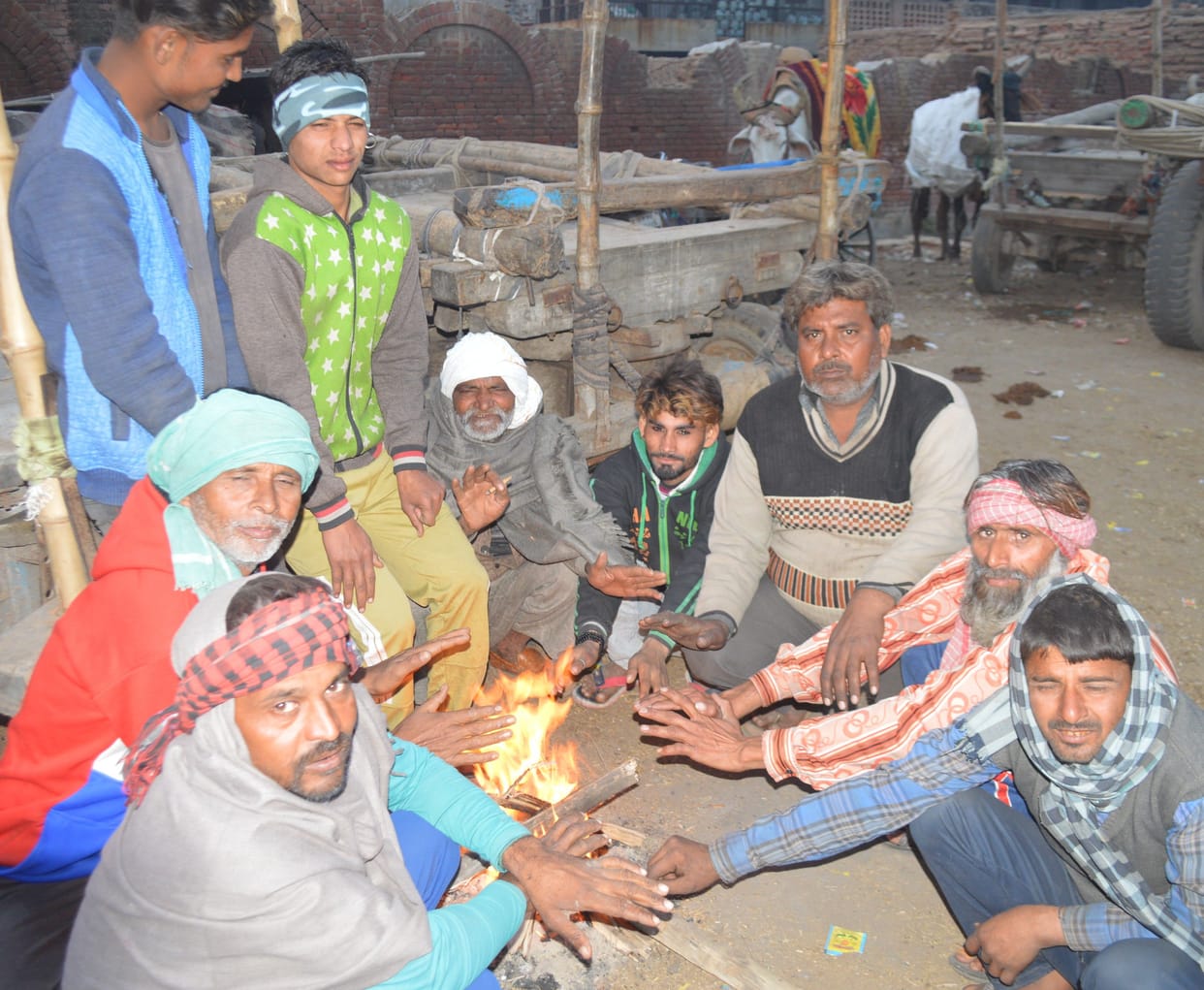 Hathras: Cold wave relieves common man's shiver