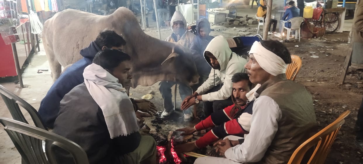bus,train,palika,winter,city