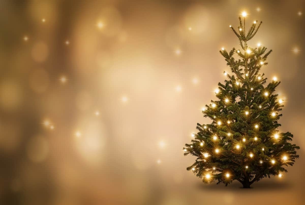 Merry Christmas 2021 Four Easy Tips To Decorate Christmas Tree
