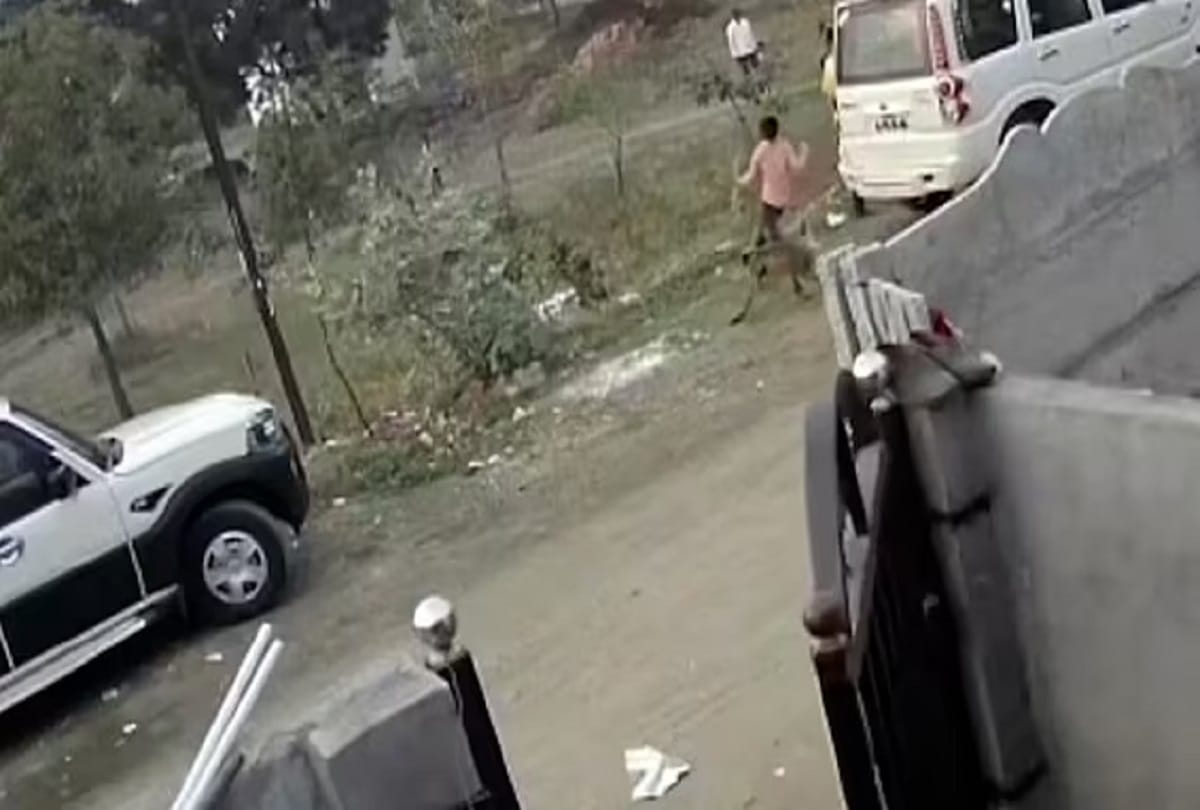 Dog Monkey fight Maharashtra Horrific incidents reported in Majalgaon and Lavul village in India Maharashtra, monkeys took revenge