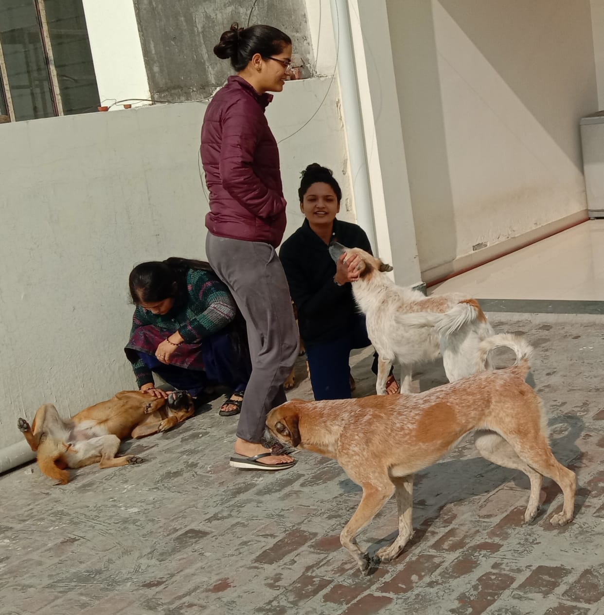 Sneha and her family are becoming the support of the suffering voiceless