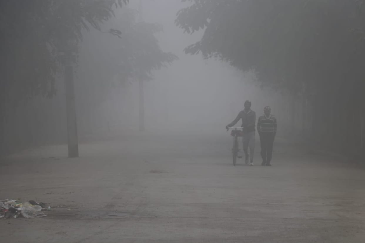 Uttarakhand Weather Update today: Cold day is expected in plains today, due to frost-fog cold increase