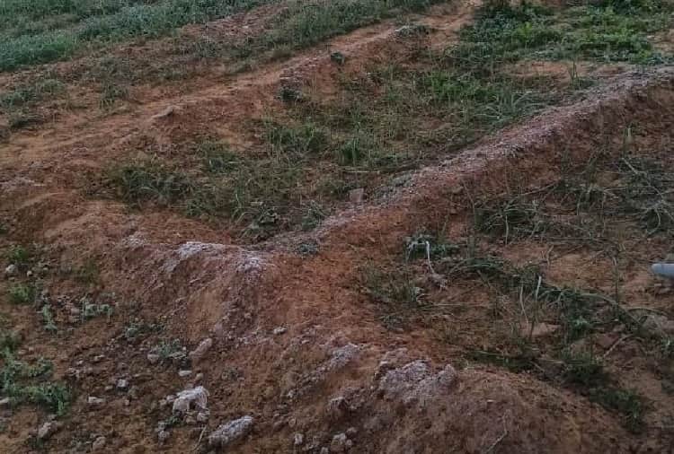 Cold Wave in Haryana: Temperature reached minus one degree Celsius in Rewari