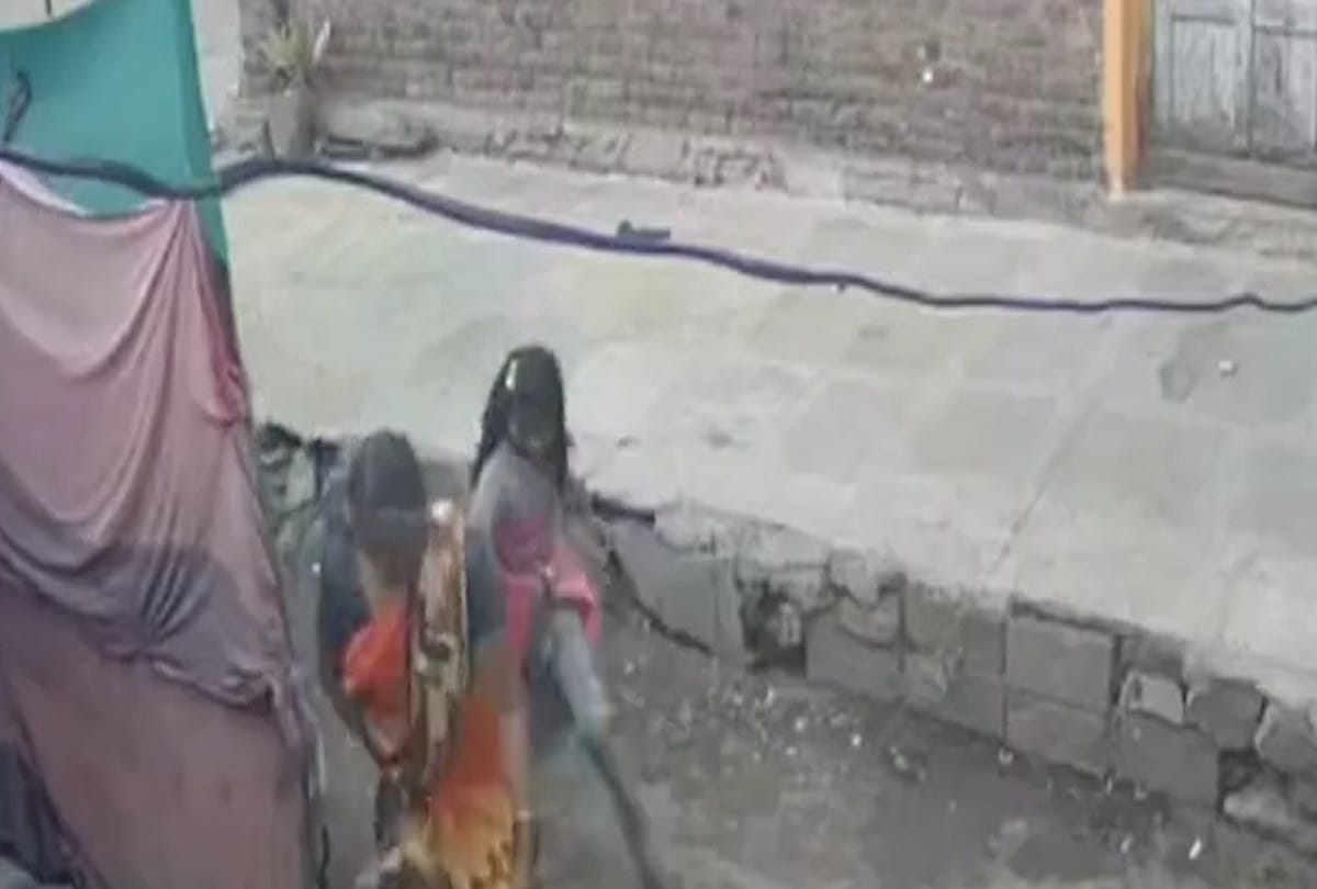Dog Monkey fight Maharashtra Horrific incidents reported in Majalgaon and Lavul village in India Maharashtra, monkeys took revenge