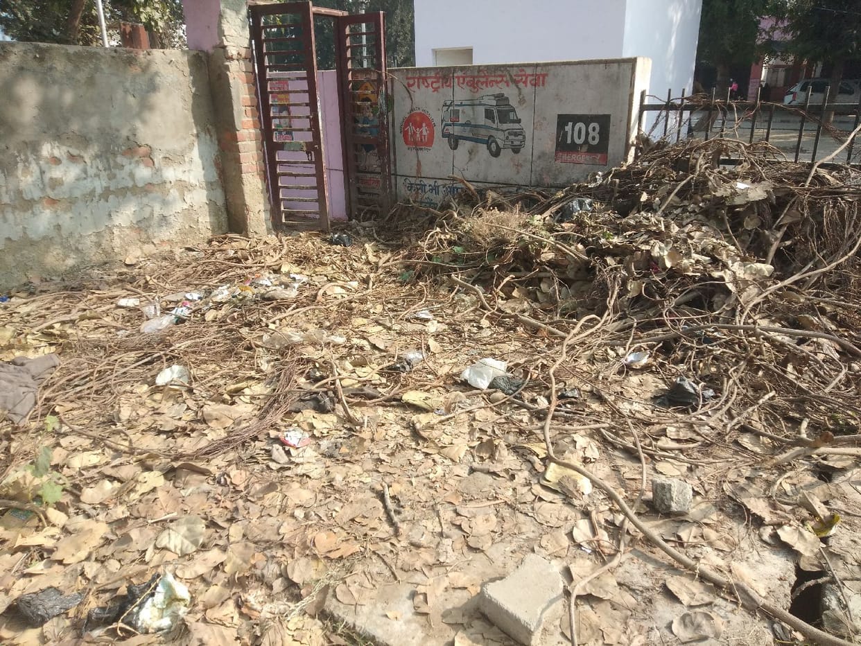 plantation,dhanvantari vatika