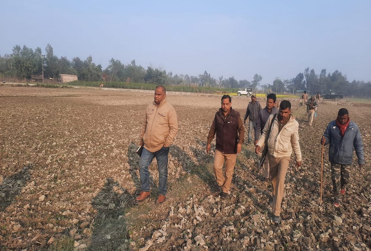 Lakhimpur Kheri NEWS Violent animal ate one and a half year old girl after entering the house, organs found outside the village
