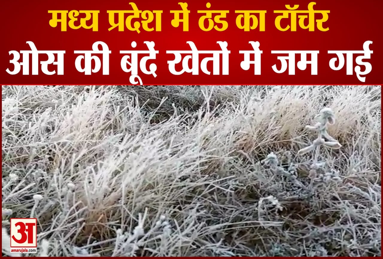 मध्य प्रदेश सर्दी