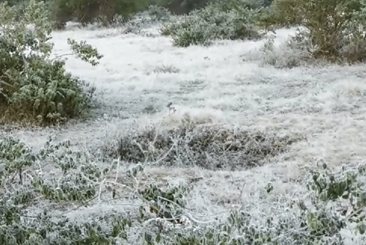 MP Madhya Pradesh Weather Update Today: Gwalior Indore Panchmarhi Naogaon Umaria Bhopal