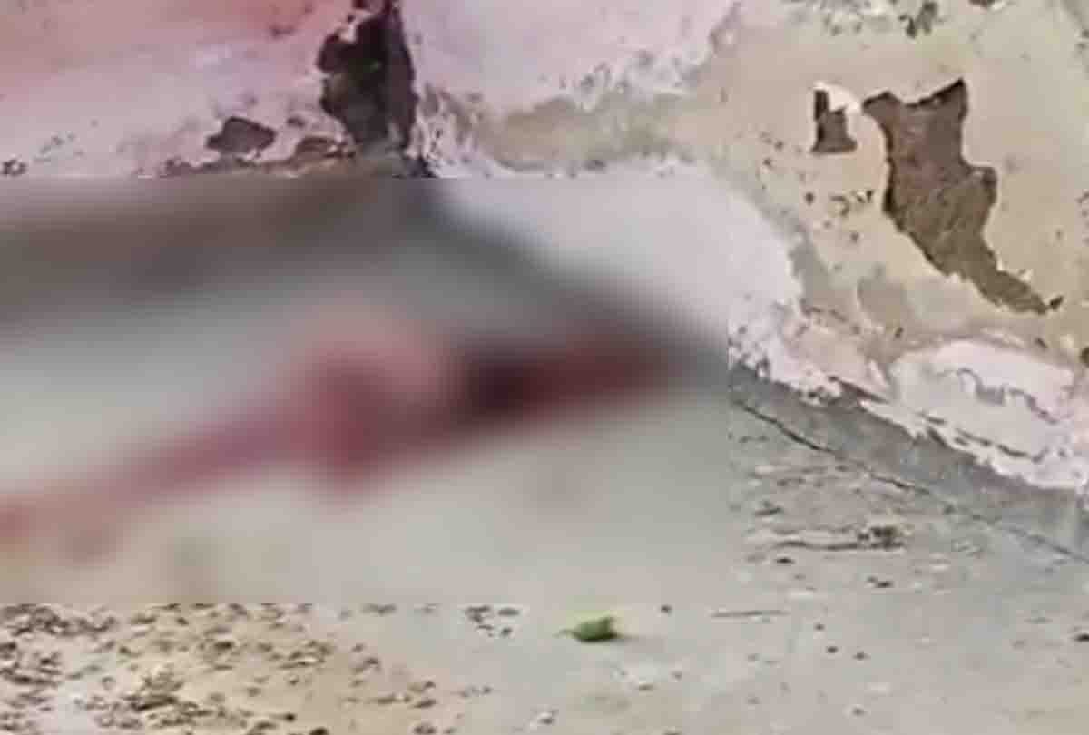 Newborn thrown alive near hospital