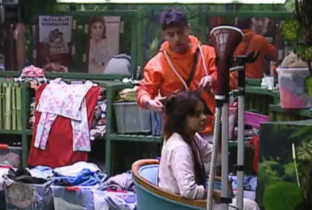 bigg boss 15 devoleena bhattacharjee express her feeling for pratik sehajpal says i am attract towards you