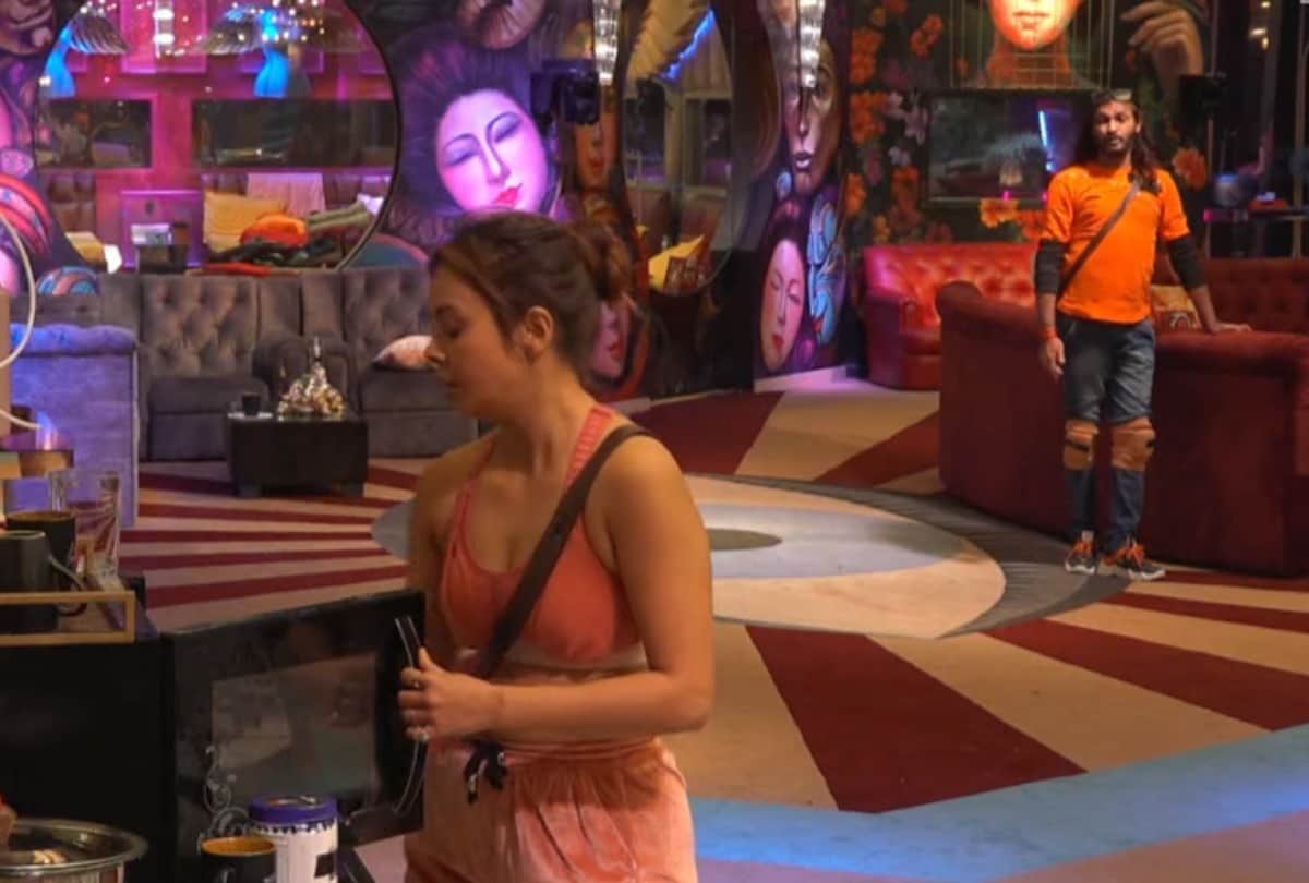 bigg boss 15 abhijeet bichukale planing with rakhi sawant says now we will use devoleena bhattacharjee for our game