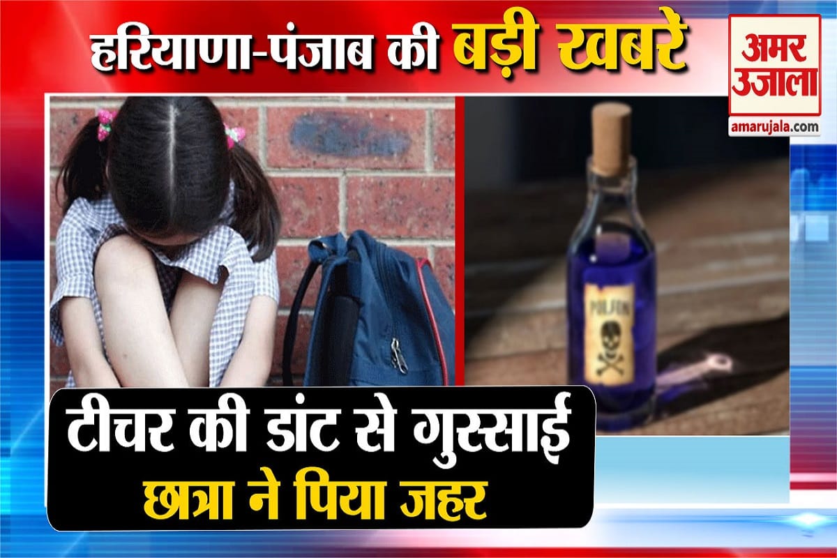 हरियाणा न्यूज