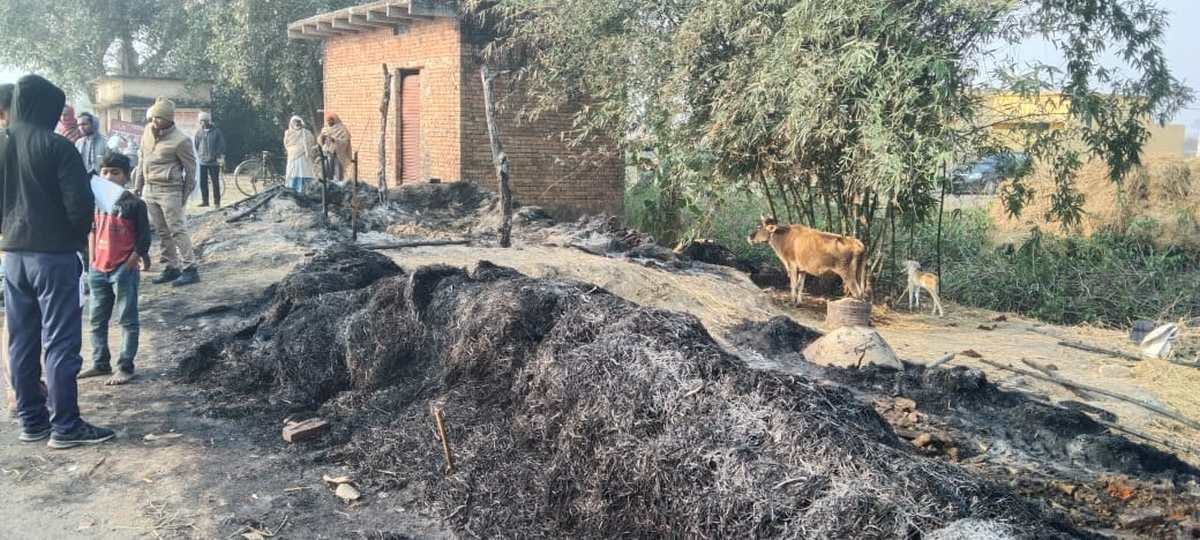 When asked to drive bike slowly fire broke out in shanty eight cows burnt to death in chandauli