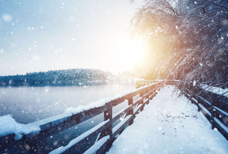 Winter Solstice 2021 Why More Cold After 21 December Shortest Day Know