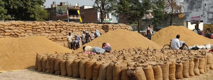 fathepur news,Registration of nine thousand farmers pending, unable to sell paddy