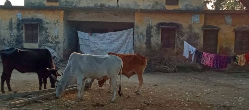 Locks on 75 cooperative societies, it is difficult to get fertilizers and seeds