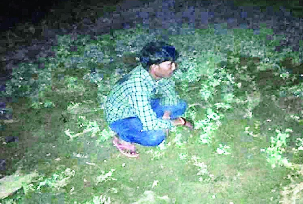 Farmers Protect Crops From Cattles In December Cold Night