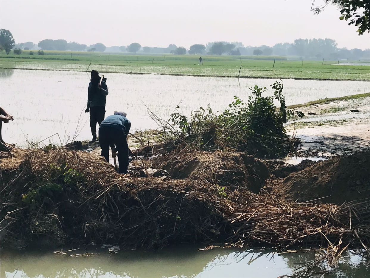 Minor overflowed, 300 bigha crops submerged
