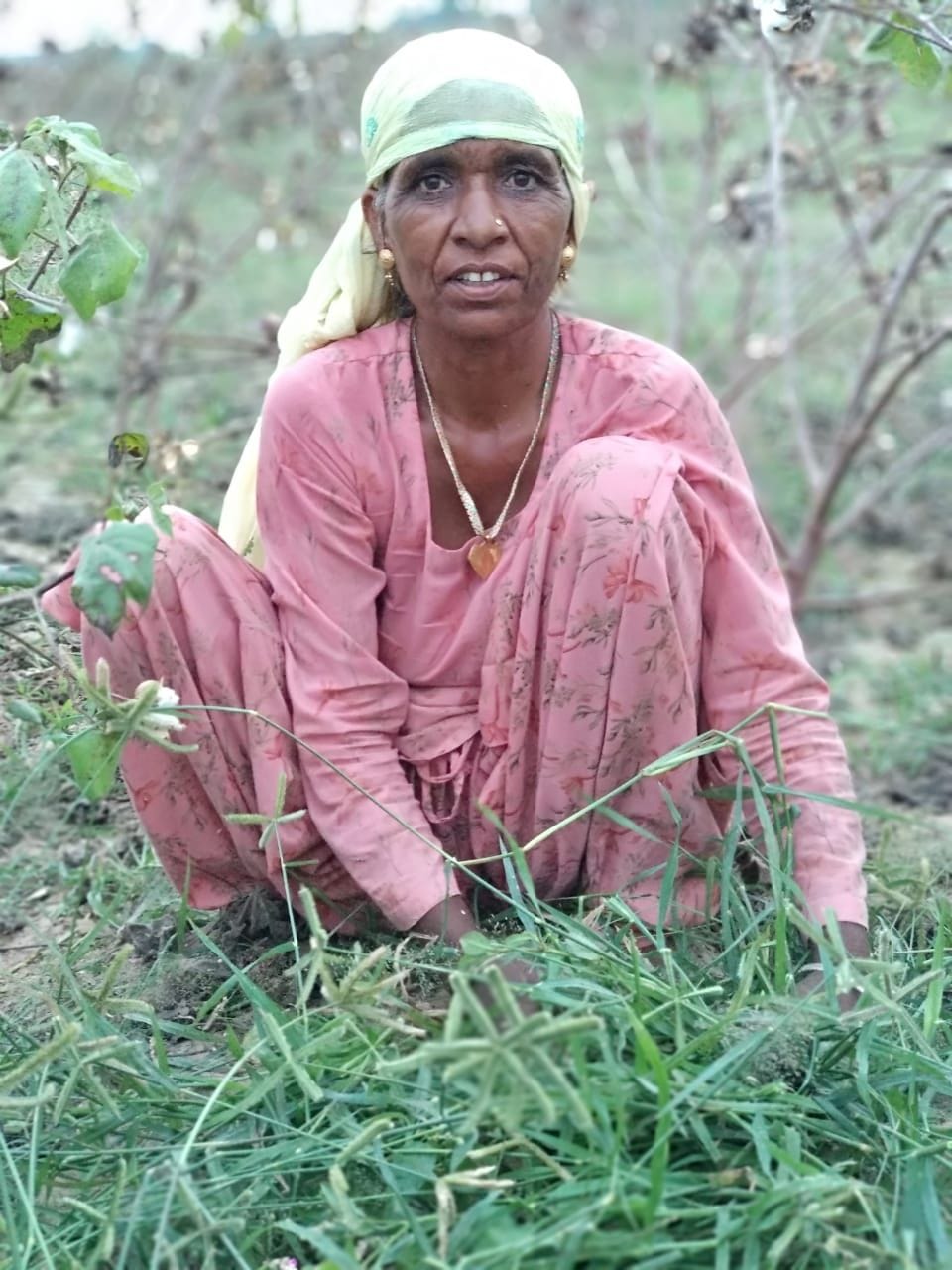 Parmeshwari of Adampur will get Kisan Ratna Award today