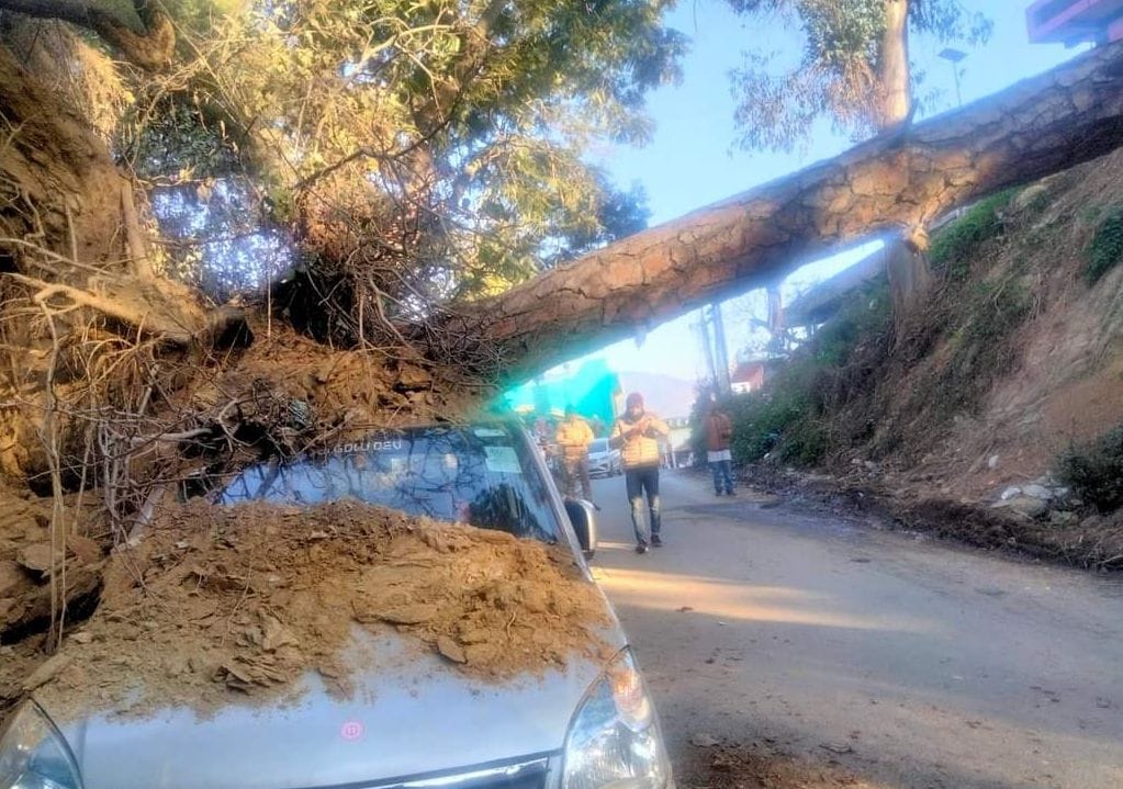 Accident by Trees in Ranikhet