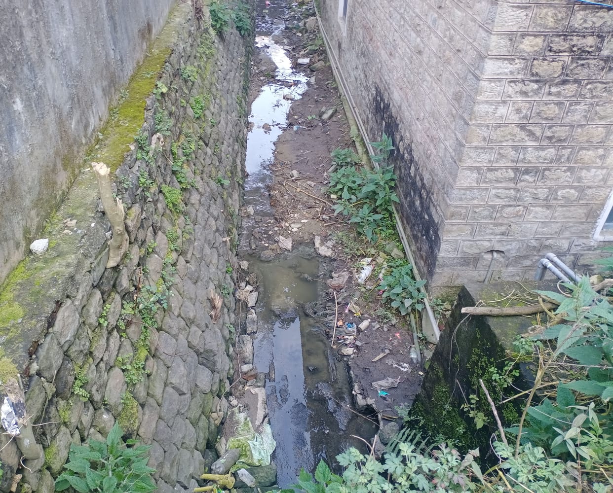 The problem became serious due to sewage leakage near the regional hospital Mandi