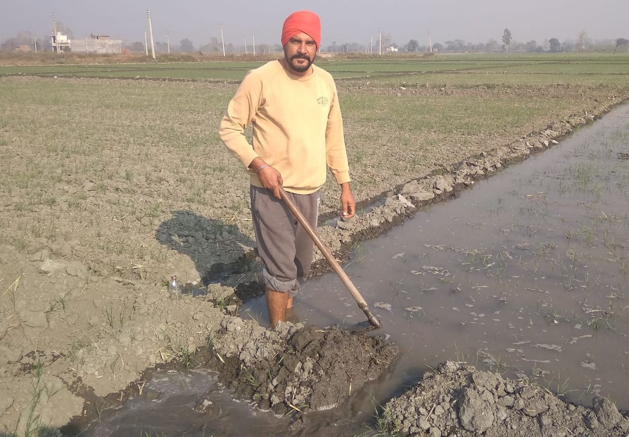 Agriculture