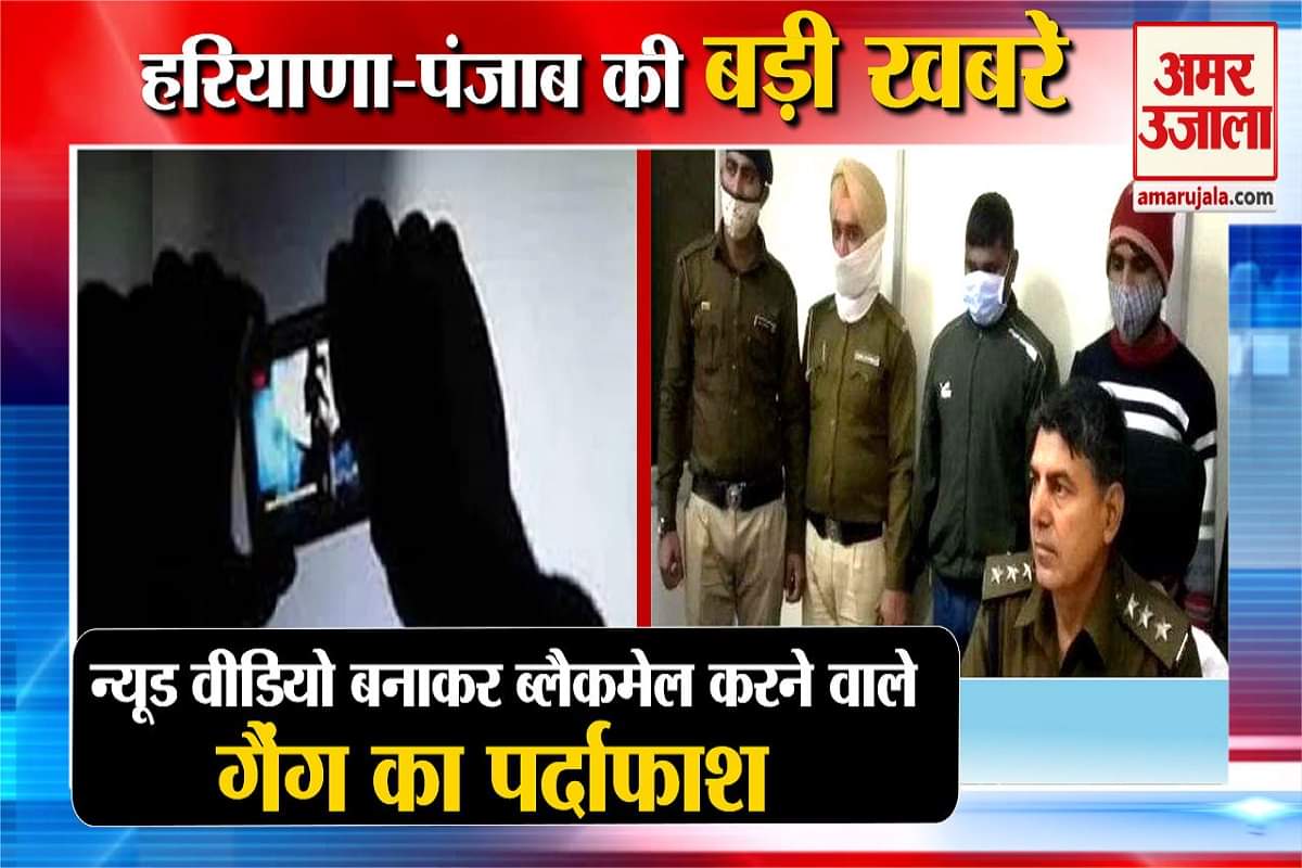 हरियाणा न्यूज