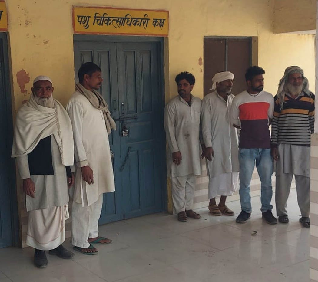 Villagers' uproar over the death of 28 animals in two days