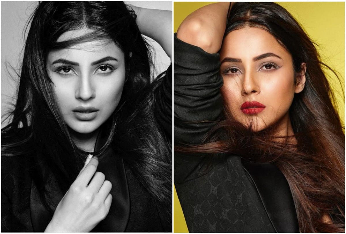 Dabboo Ratnani shared the glamorous photoshoot of Shahnaz Gill