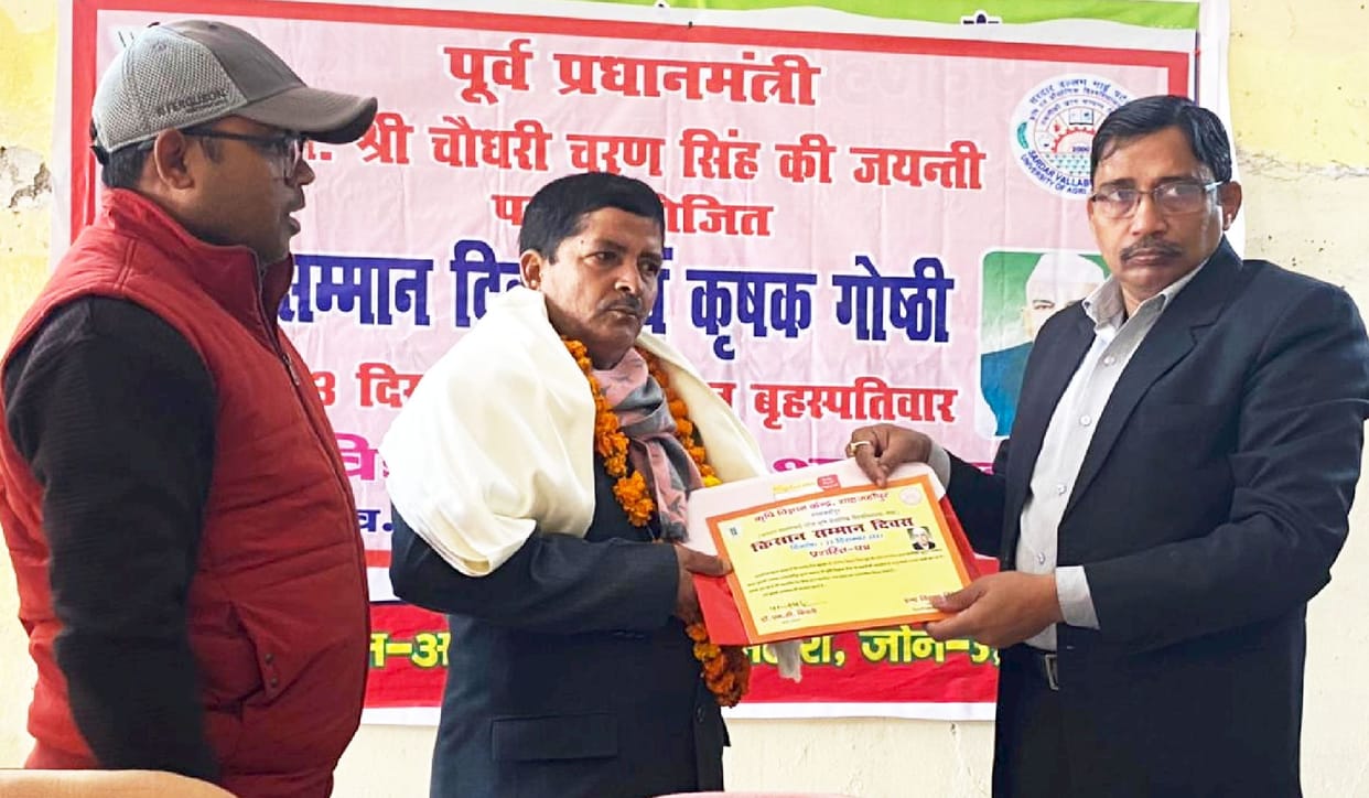 Farmers honored for achieving special achievements in agricultural production