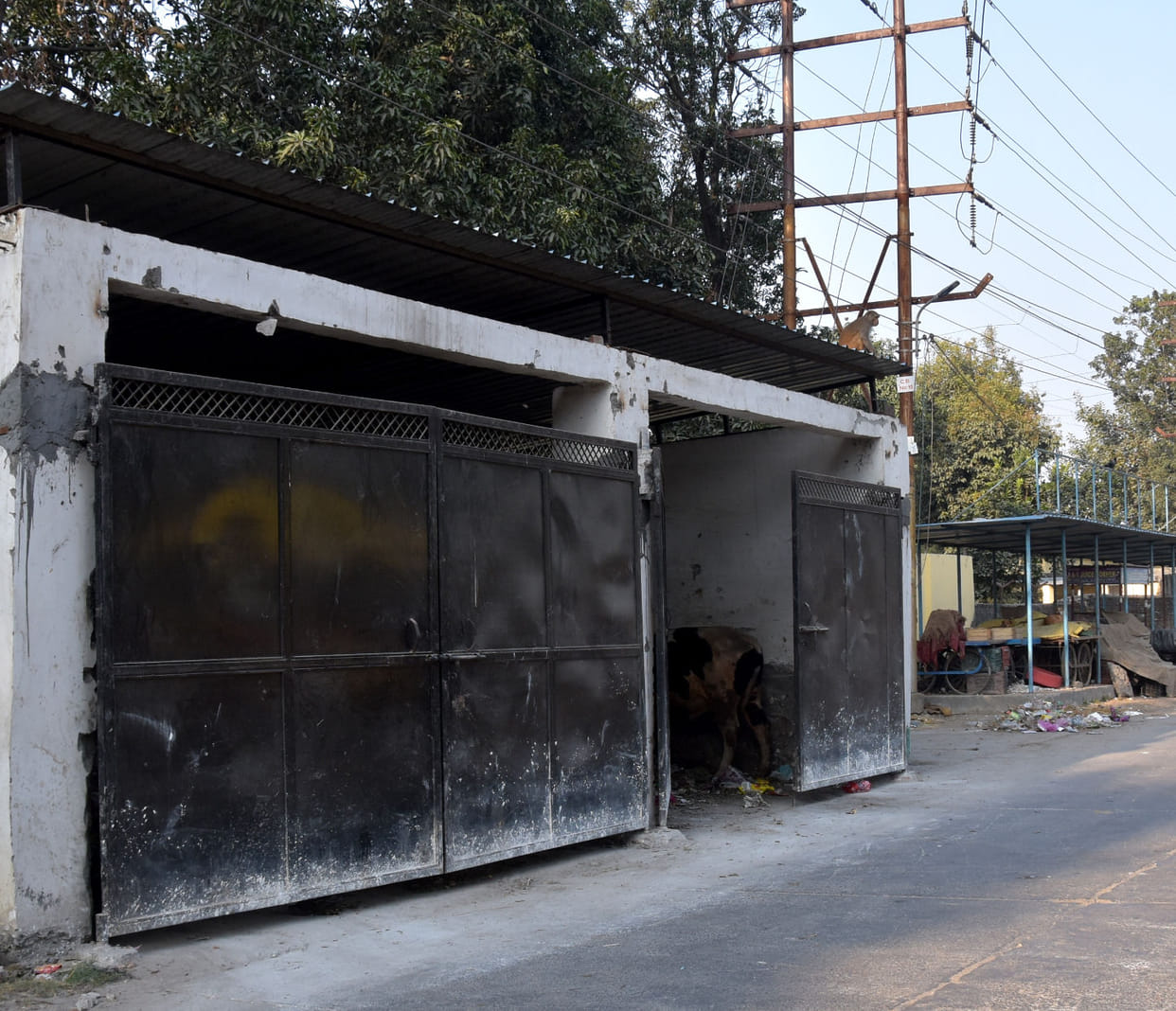 Garbage dump houses will be monitored by CCTV