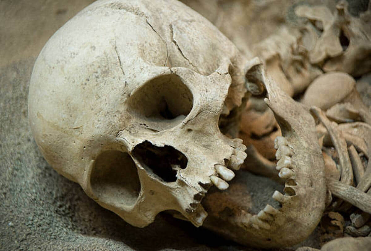 scientists discovered the mystery of the worlds smallest mummified skeleton know what is the truth