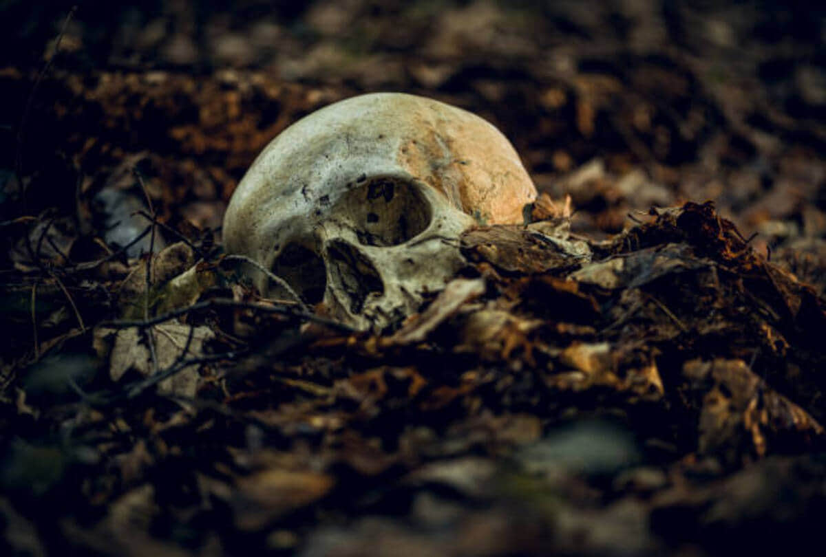scientists discovered the mystery of the worlds smallest mummified skeleton know what is the truth
