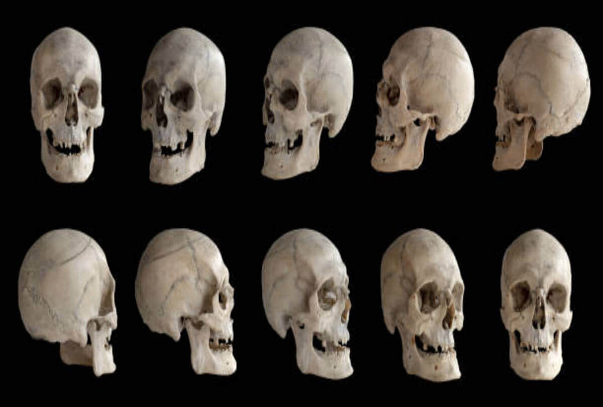 scientists discovered the mystery of the worlds smallest mummified skeleton know what is the truth