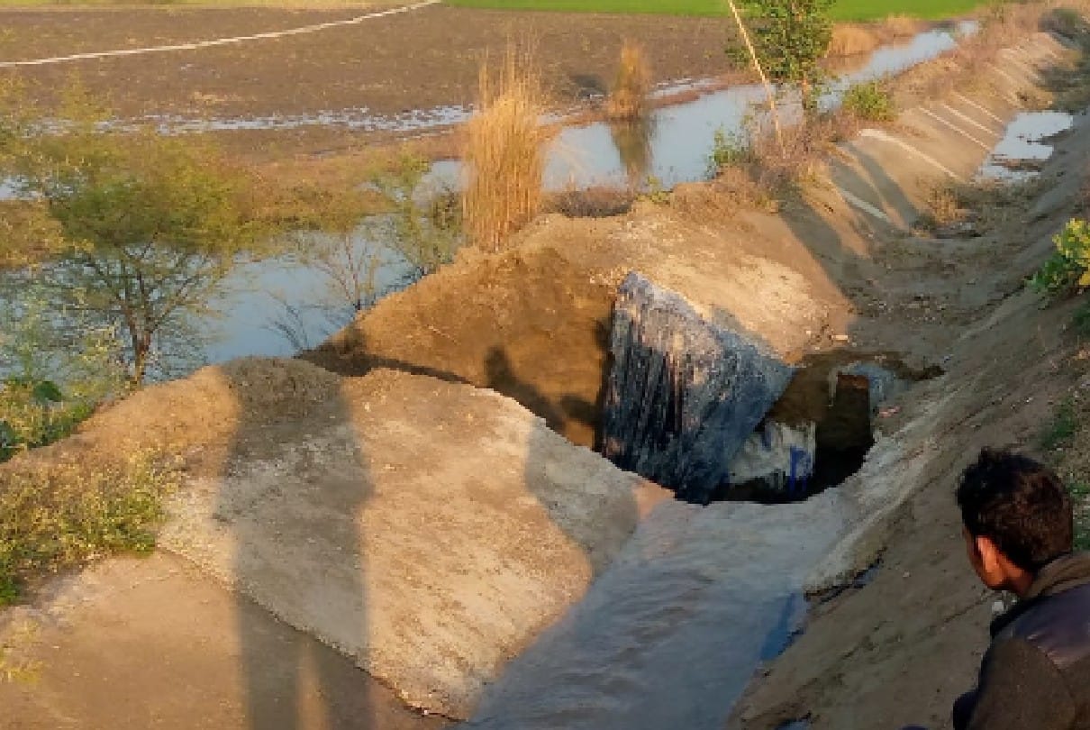 Chhatarpur: Canal burst due to lack of maintenance, crops started getting spoiled due to water filling in the fields