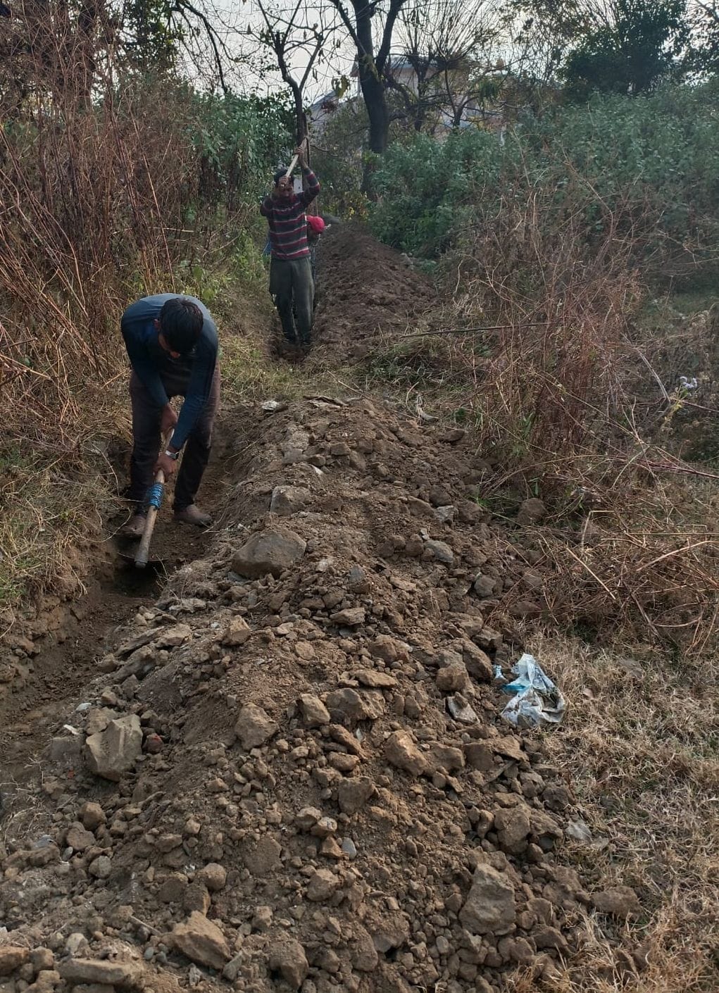 Work of laying sewerage line started in ward three and seven in Jogindernagar