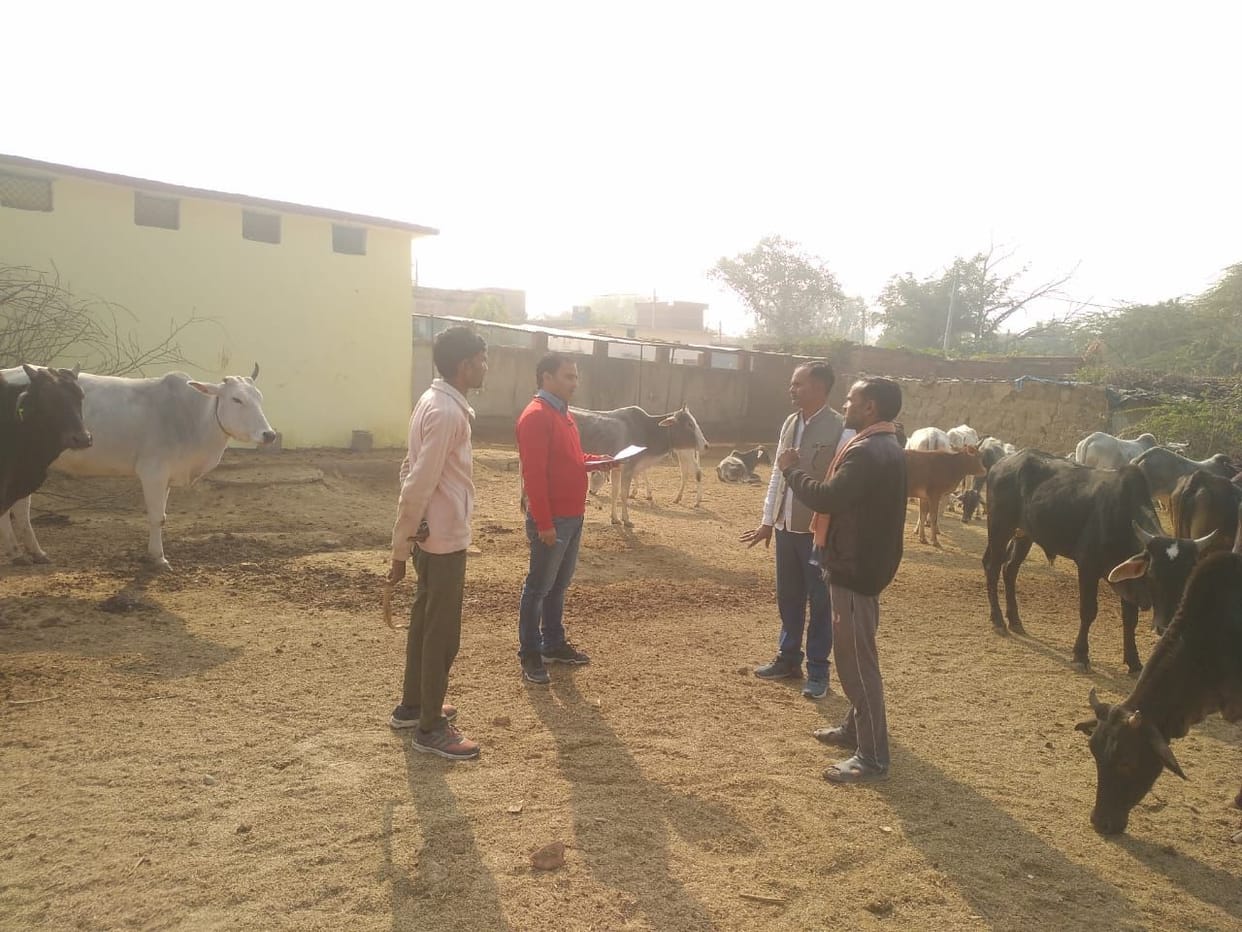 village,water,cow,DM,winter