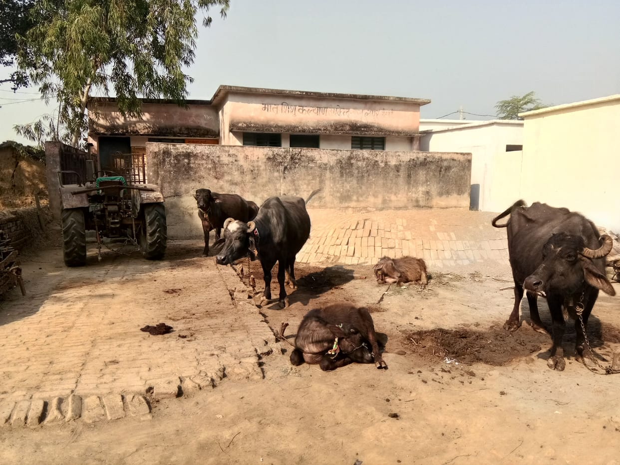 village,health,docter,cms,centre